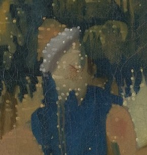 348-vermeerfromtheback